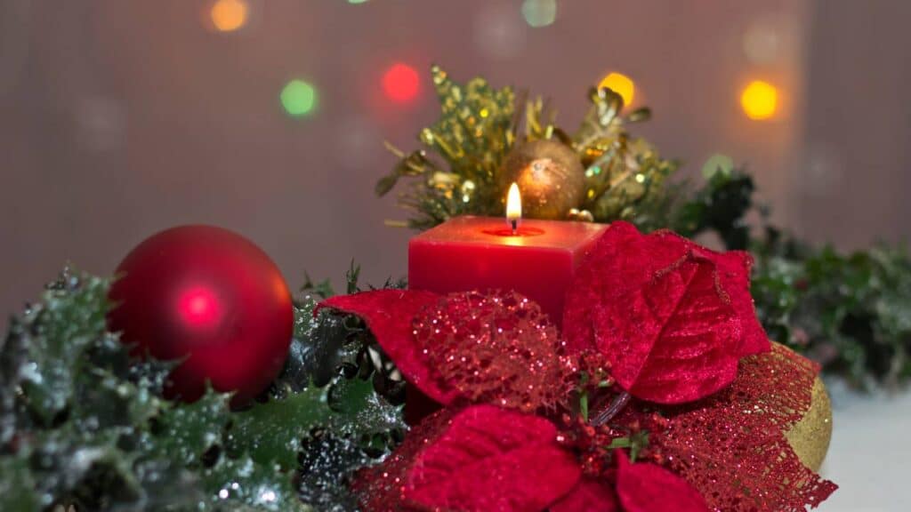 Créditos: depositphotos.com / Bernilynn