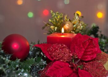 Créditos: depositphotos.com / Bernilynn