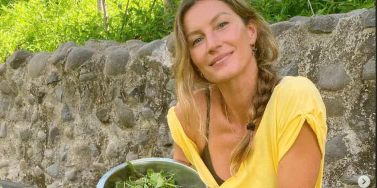 Aloe vera pode ser aliada no alívio de irritações, queimaduras e hidratação intensa da pele. // Créditos: Instagram @gisele