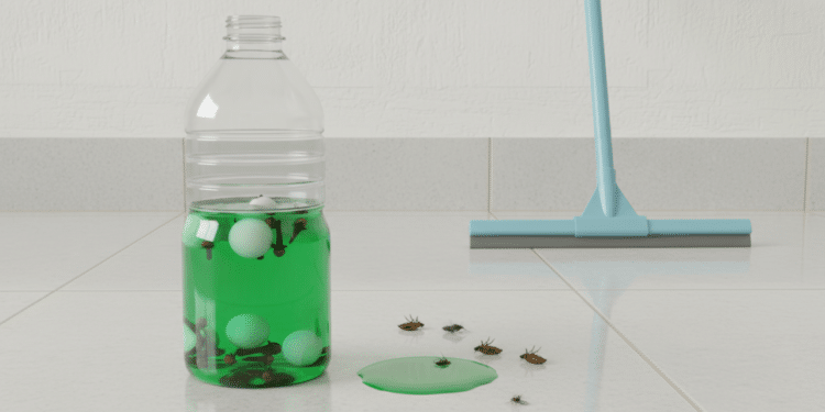 Adeus insetos: a mistura caseira que afasta insetos como um repelente e deixa a casa perfumada