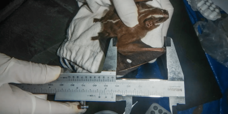 FOTO: LUCIANA M. COSTA/DIVULGAÇÃO