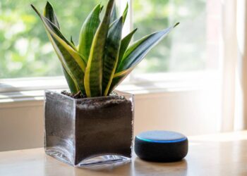 Sua Alexa pode estar no lugar errado e isso afeta desde o som até a sua segurança