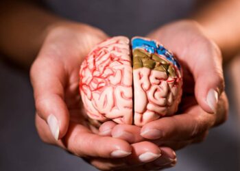 Estudo indica que inflamação no cérebro pode ser fator-chave para o Alzheimer