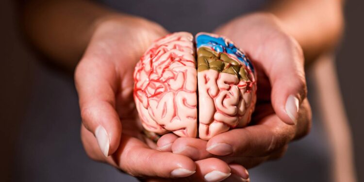 Estudo indica que inflamação no cérebro pode ser fator-chave para o Alzheimer