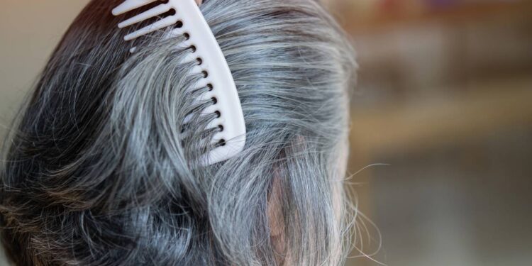 Adeus aos cabelos brancos com essas 3 plantas antigas que tingem sem química