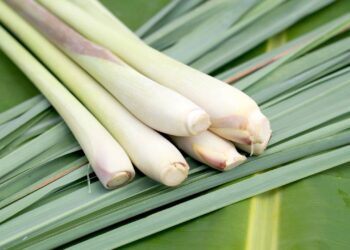 Ótimo para aliviar dores musculares, cólicas, problemas digestivos e ainda ajudar a reduzir o colesterol. // Créditos: depositphotos.com / KittikornPh