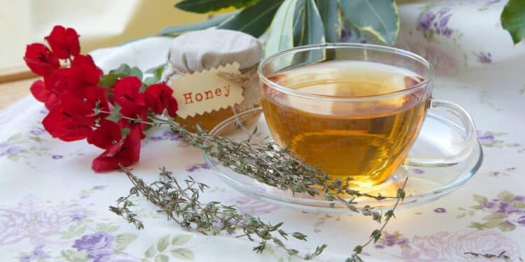 Os chás são uma das formas mais antigas de cuidado natural. // Créditos: depositphotos.com / Tolikoff