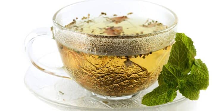 Beber chá verde diário ajuda a desinchar, melhora a digestão e traz sensação de saciedade. // Créditos: depositphotos.com / karandaev