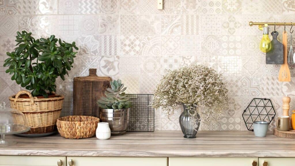 Minha árvore do dinheiro floresceu após 5 anos de silêncio: o segredo estava na cozinha