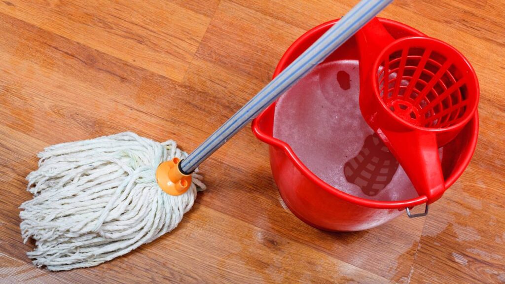 O truque que usei para deixar o esfregão limpo sem encostar nele e sem gastar nada