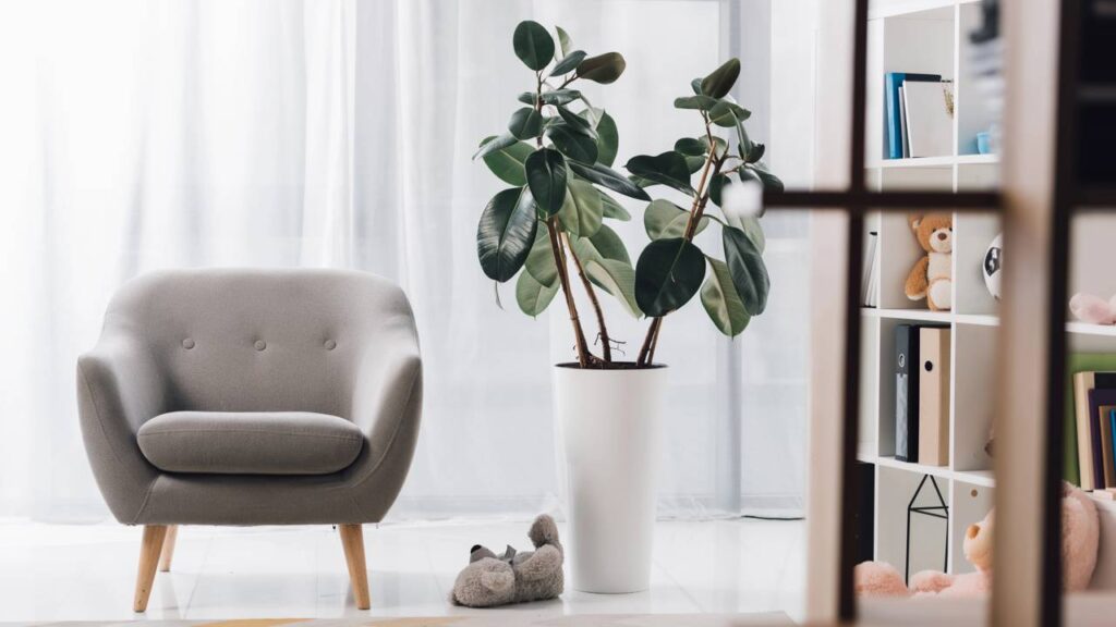 Essas 4 plantas de luxo não faltam nas mansões dos grandes milionários