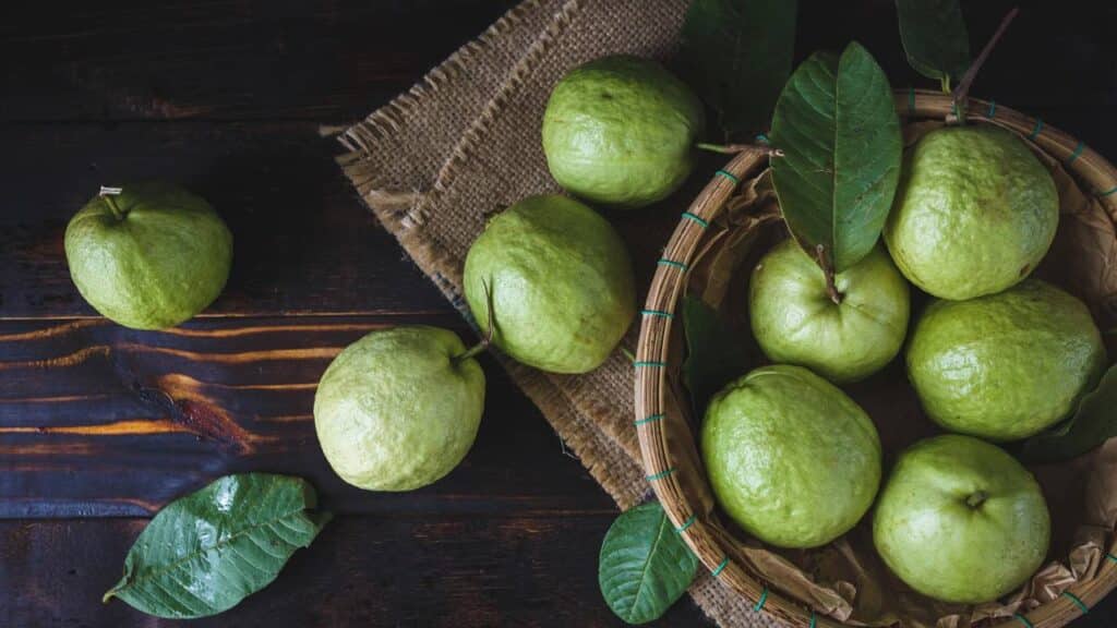 Essa é a fruta ideal para plantar em qualquer clima e em qualquer quintal sem problemas