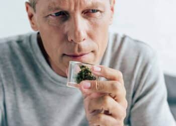 Homem de camiseta cheirando cannabis medicinal em apartamento