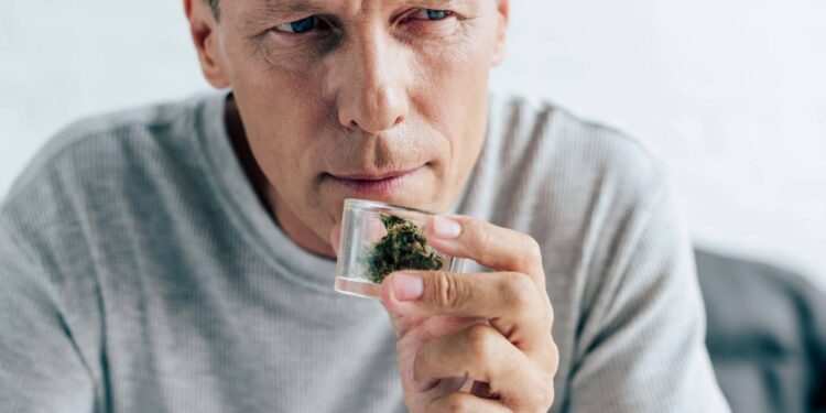 Homem de camiseta cheirando cannabis medicinal em apartamento