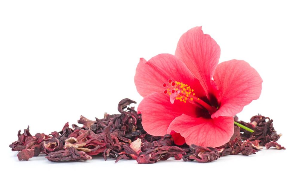 As 4 plantas perfeitas para tingir o cabelo e mudar o visual naturalmente