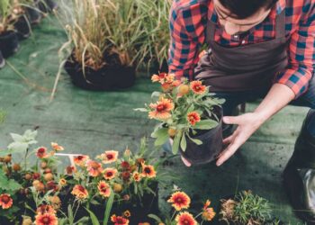 Use ferramentas como pás, ancinho e regador para cuidar do seu jardim com eficiência. // Créditos: depositphotos.com / SashaKhalabuzar