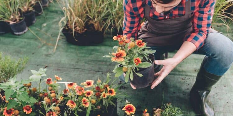 Use ferramentas como pás, ancinho e regador para cuidar do seu jardim com eficiência. // Créditos: depositphotos.com / SashaKhalabuzar