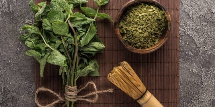 O chá chinês que ajuda a emagrecer e ainda melhora a concentração