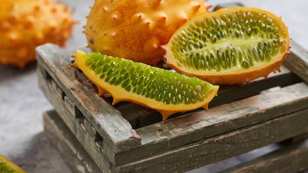 Créditos: depositphotos.com / Goir