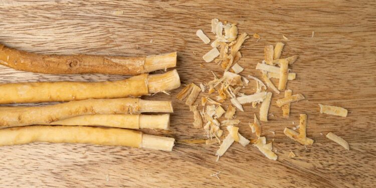 A planta milenar que está voltando a ser usada para escovar os dentes