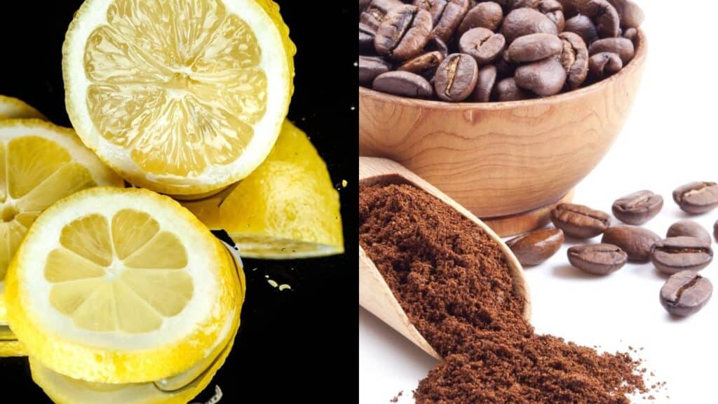 Método antigo com café e limão ganha destaque por ser seguro e barato contra mosquitos