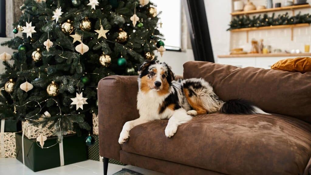 As tendências natalinas que vão transformar sua casa em 2025