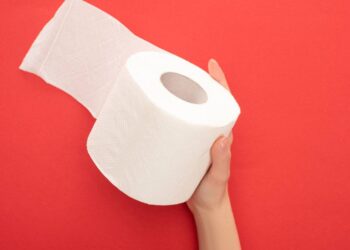 Adeus ao papel higiênico com essas alternativas muito mais higiênicas, baratas e ecológicas