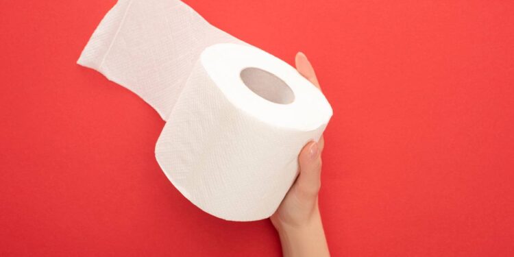 Adeus ao papel higiênico com essas alternativas muito mais higiênicas, baratas e ecológicas