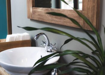 Opte por espécies tolerantes à meia-sombra, alta umidade e regas moderadas. // Créditos: depositphotos.com / olegbreslavtsev