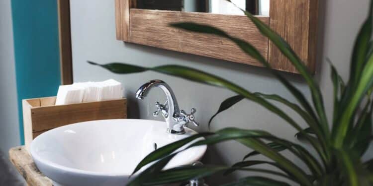 Opte por espécies tolerantes à meia-sombra, alta umidade e regas moderadas. // Créditos: depositphotos.com / olegbreslavtsev