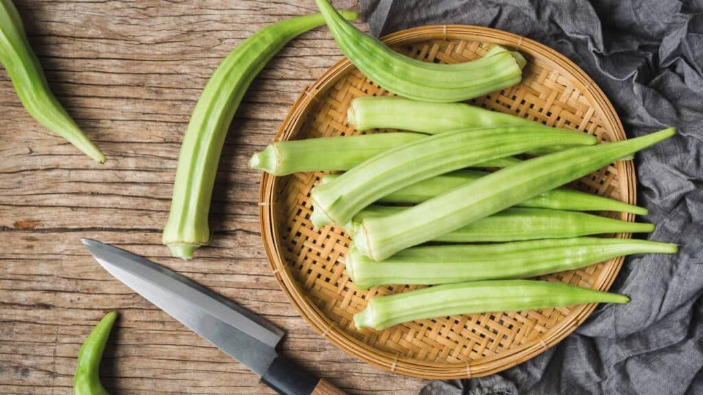Essa é a planta ideal para plantar em novembro e garantir uma colheita farta no verão