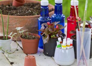 Quem ama plantas vai se encantar com esse vaso feito de garrafa reciclada