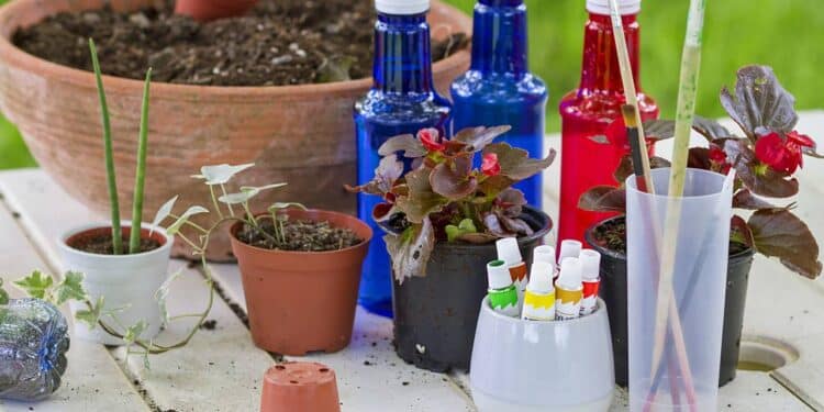 Quem ama plantas vai se encantar com esse vaso feito de garrafa reciclada