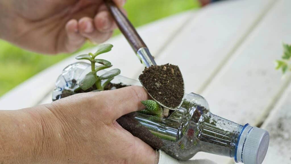 Quem ama plantas vai se encantar com esse vaso feito de garrafa reciclada