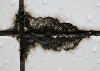 O melhor truque caseiro para eliminar o mofo preto do rejunte rápido