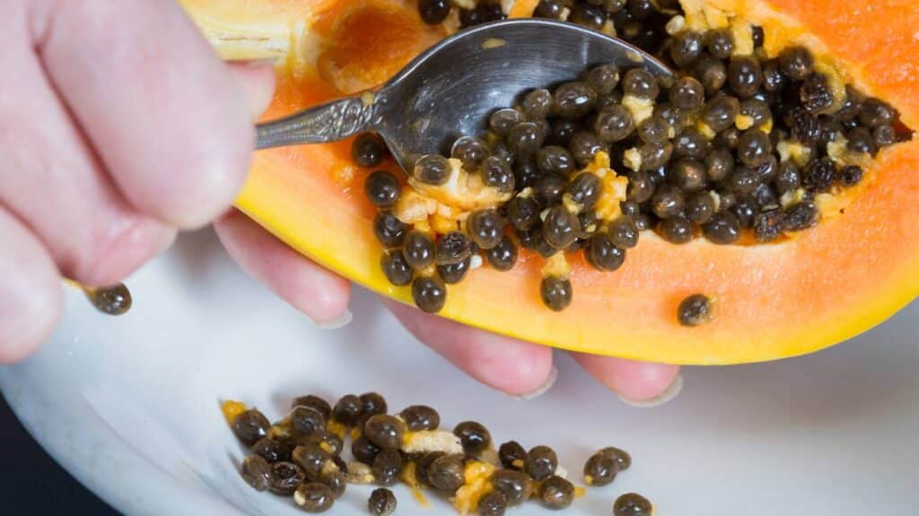 Quantas sementes de mamão comer para “regenerar” o fígado?