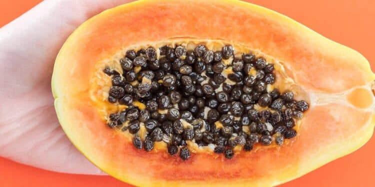 Quantas sementes de mamão comer para “regenerar” o fígado?