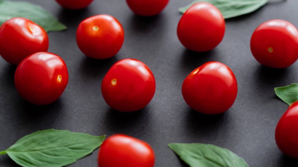 Vista aproximada de tomates-cereja naturais e folhas de manjericão sobre fundo preto -