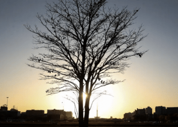 Planeta apresenta sinais iniciais de fragilidade segundo climatologista