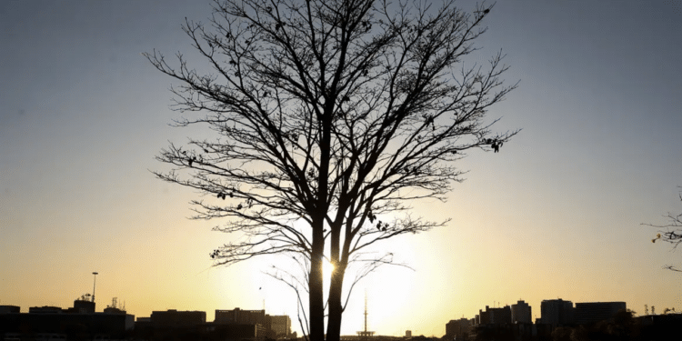 Planeta apresenta sinais iniciais de fragilidade segundo climatologista