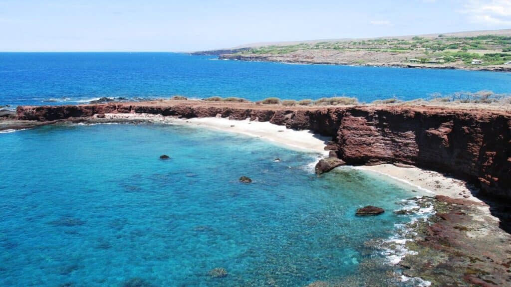 O megaprojeto de quase US$ 1 bilhão feito por Larry Ellison em ilha para transformar a agricultura com robôs e energia limpa