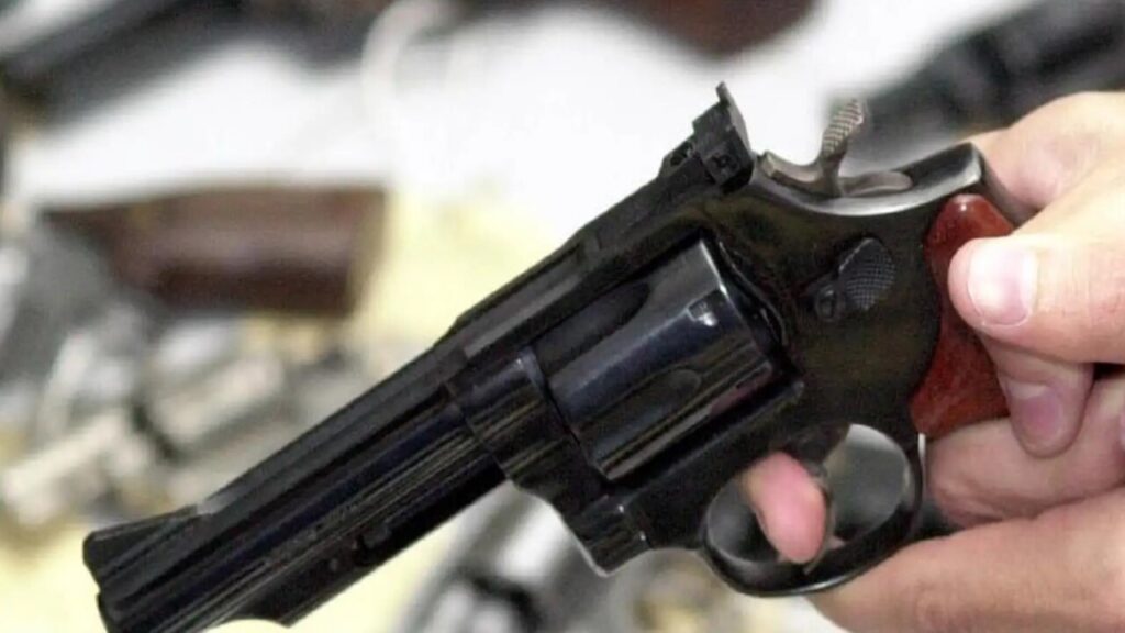 Projetos avançam e novas profissões podem ter porte de arma liberado, veja quais