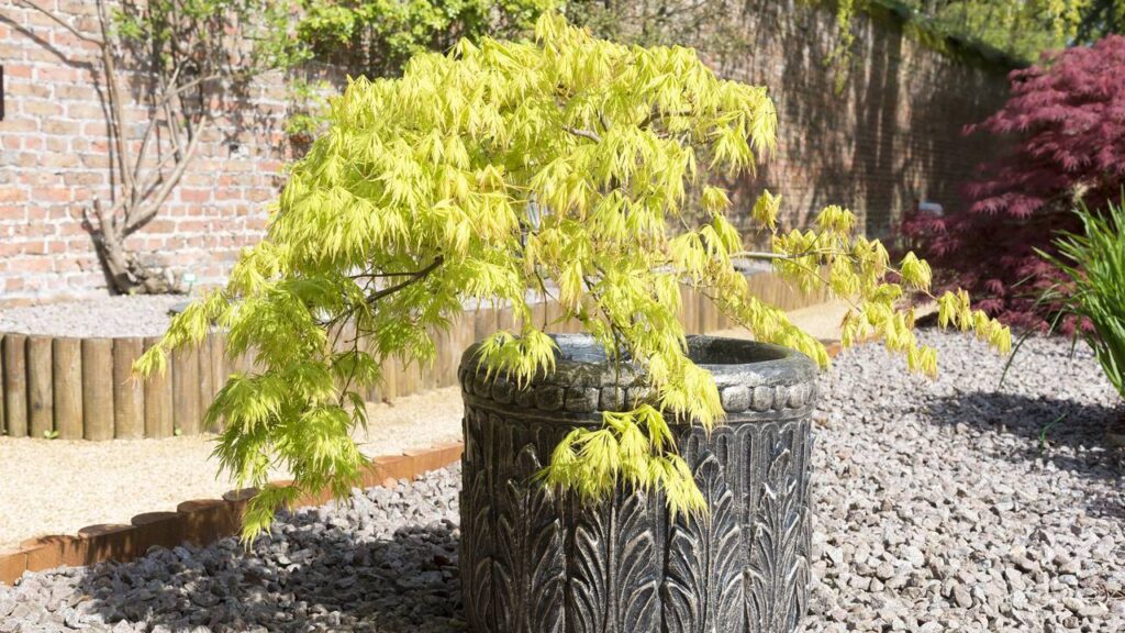 Créditos: depositphotos.com / doethion