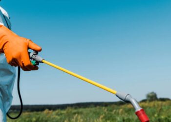 Organizações pedem que a Anvisa suspenda o uso de três substâncias presentes nos agrotóxicos após novas descobertas científicas