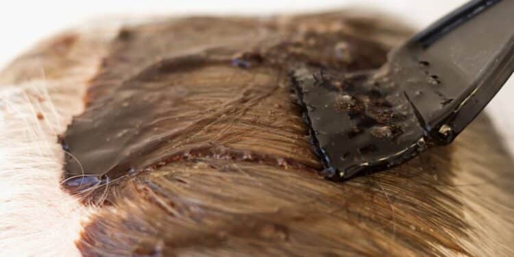 Créditos: depositphotos.com / irina999irina