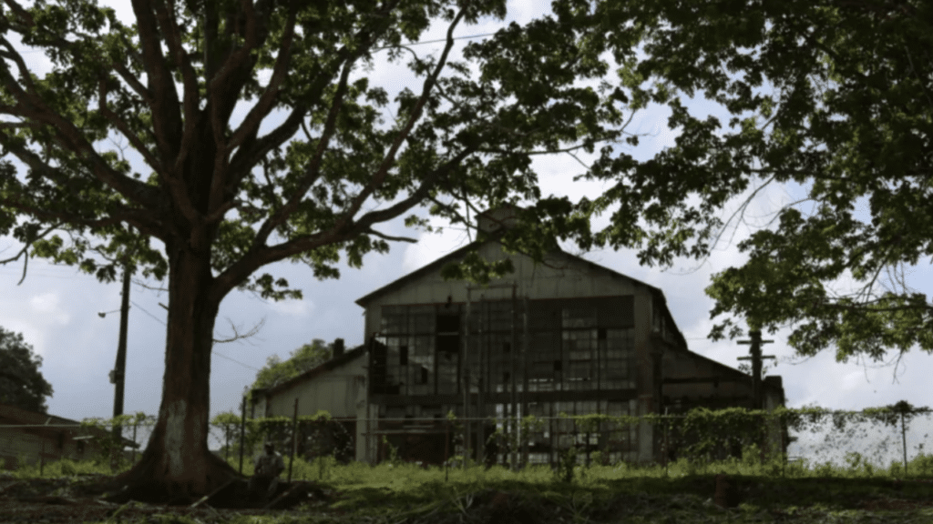 A cidade fantasma americana na Amazônia fundada em 1928 que abriga ruínas industriais de um passado fracassado do americano Henry Ford