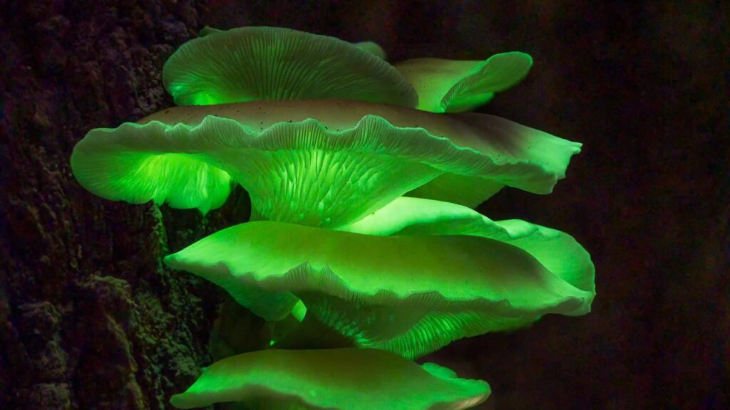 Créditos: depositphotos.com / cherd_c@hotmail.com