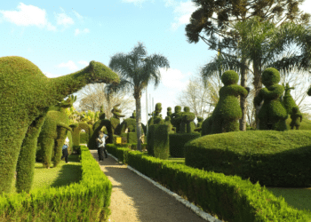 Uma cidade no Rio Grande do Sul ficou famosa graças a um jardineiro de 89 anos que criou esculturas em uma praça