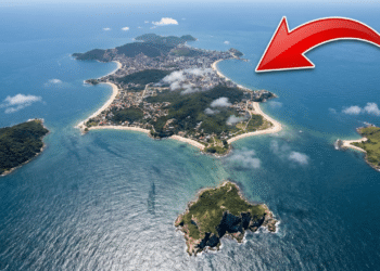 Florianópolis é refúgio litorâneo perfeito para unir praias, trilhas, gastronomia e vida urbana em uma só cidade insular.​