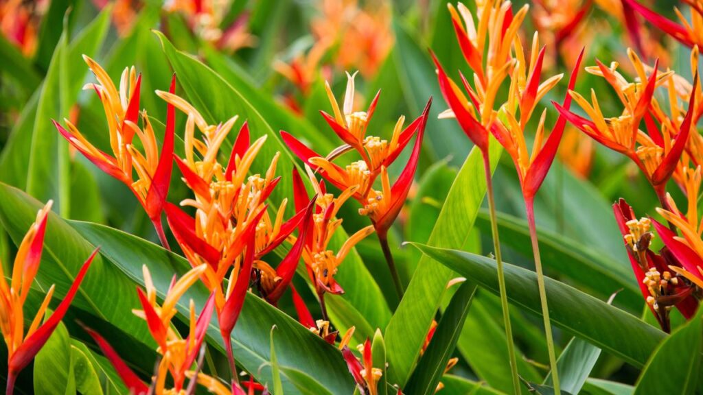 Créditos: depositphotos.com / Elnur_